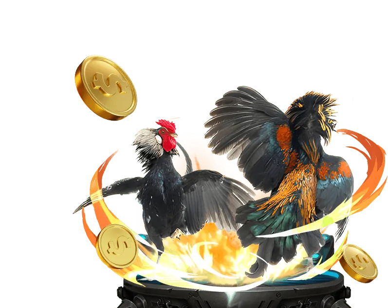 Đội ngũ hỗ trợ khách hàng của bbet Casino